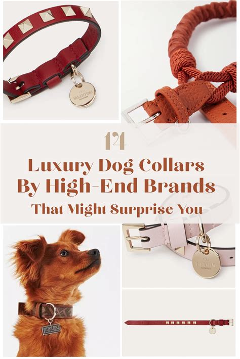 designer dog collar brands